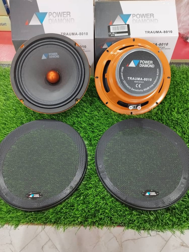 پاوردیاموند ۸۰۱۰