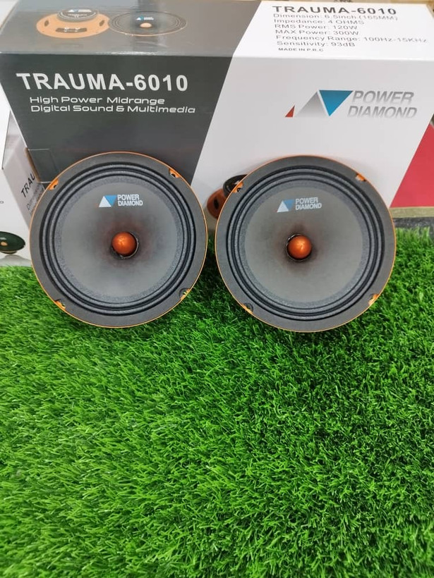 پاوردیاموند ۶۰۱۰