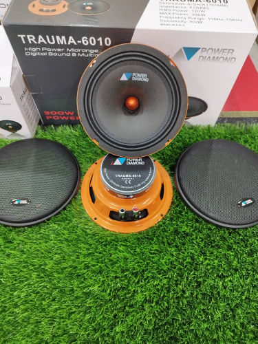 Pdm-6010